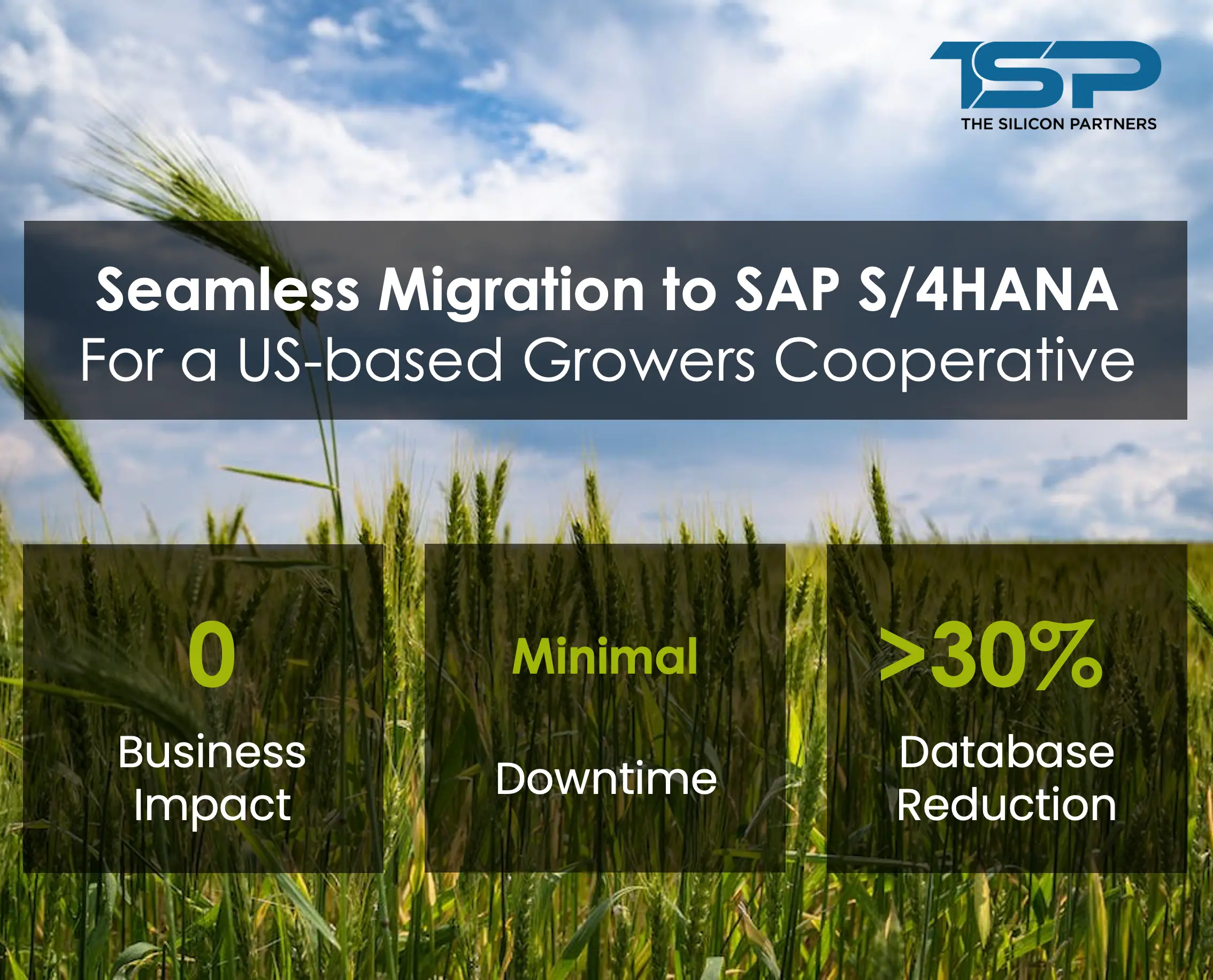 SAP S/4HANA Migration With Minimal Disruption | The Silicon Partners